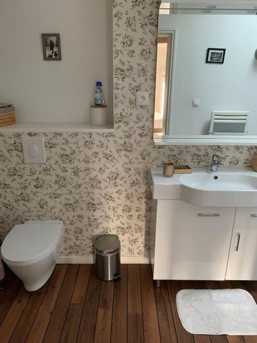 Appartement Duplexcoeur De Ville Metz Eksteriør bilde